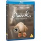 FILME-MARCEL THE SHELL WITH SHOES ON (BLU-RAY)