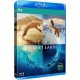 SÉRIES TV-A YEAR ON PLANET EARTH (2BLU-RAY)