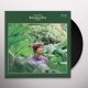 CHRIS BRAIN-BOUND TO RISE (LP)