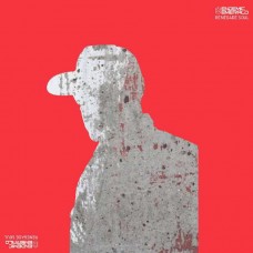ENDEMIC EMERALD-RENEGADE SOUL (LP)