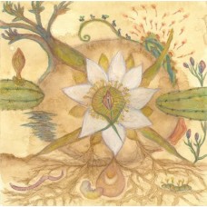 MARKANDEYA-VISION VERSIONS: JOAQUIN CORNEJO MEETS MARKANDEYA (LP)