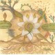 MARKANDEYA-VISION VERSIONS: JOAQUIN CORNEJO MEETS MARKANDEYA (LP)
