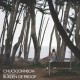 CHUCK JOHNSON-BURDEN OF PROOF -COLOURED- (LP)