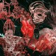 ELWD-MONOCHROME (LP)