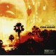 RYAN ADAMS-ASHES & FIRE (LP)