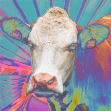 EYES OF OTHERS-EYES OF OTHERS (CD)
