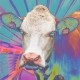 EYES OF OTHERS-EYES OF OTHERS (CD)