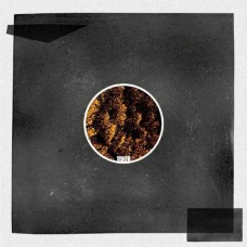 JAMES RUSKIN-FROM THE ASHES -EP- (12")