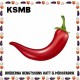 KSMB-BRODERNA BENGTSSONS HATT & MOSSFABRIK (LP)