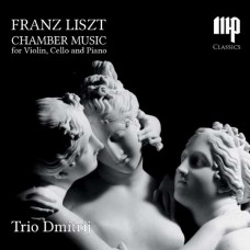 TRIO DMITRIJ-FRANZ LISZT: CHAMBER MUSIC FOR VIOLIN CELLO AND PIANO (CD)