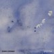 CEDRIC VERMUE-PERPETUA (CD)