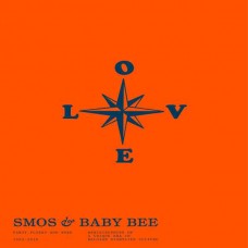 SMOS & BABY BEE-PARTY FLYERS AND MORE (1993-2010) (LIVRO)