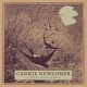 CARRIE NEWCOMER-A GREAT WILD MERCY (CD)