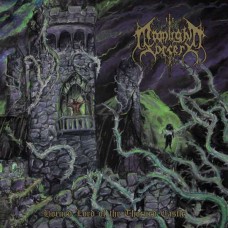 MOONLIGHT SORCERY-HORNED LORD OF THE THORNED CASTLE (CD)