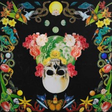 HIPPIE DEATH CULT-HELICHRYSUM -COLOURED- (LP)