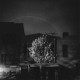 OPEN CITY-HANDS IN THE HONEY JAR -COLOURED- (LP)
