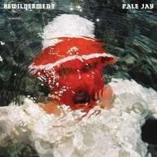 PALE JAY-BEWILDERMENT (CD)