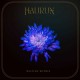 HAURUN-WILTING WITHIN (CD)