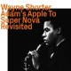 WAYNE SHORTER-ADAM'S APPLE TO SUPER NOVA REVISITED (CD)