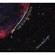 STEVE MACLEAN-UNIVERSAL (CD)