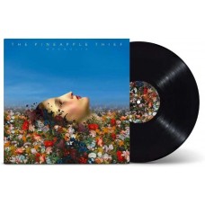PINEAPPLE THIEF-MAGNOLIA (LP)
