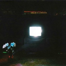 EMERALDS-DOES IT LOOK LIKE I'M HERE? (2CD)