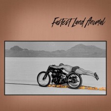 FASTEST LAND ANIMAL-EAST COAST, WEST COAST, IN BETWEEN -LTD- (LP)