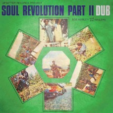 BOB MARLEY & THE WAILERS-SOUL REVOLUTION PART II DUB (LP)
