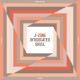 J-ZONE-INTOXICATED SKULL (LP)