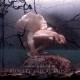 MICHAEL ALLEN Z PRIME-BIOELECTRICAL MUSIC (CD)