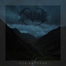 CONJURING-VIS NATURAE (CD)