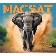 MACSAT-TURN IT UP (LP)