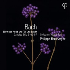 PHILIPPE HERREWEGHE-HERZ UND MUND UND TAT UND LEBEN (CD)