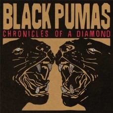 BLACK PUMAS-CHRONICLES OF A DIAMOND (CD)