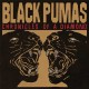 BLACK PUMAS-CHRONICLES OF A DIAMOND (CD)