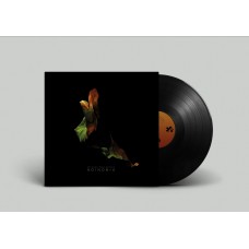 UP HIGH COLLECTIVE-KOINONIA (LP)