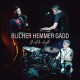 MICHAEL BLICHER/DAN HEMMER/STEVE GADD-IT WILL BE ALRIGHT (LP)