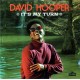 DAVID HOOPER & THE SILVERBACKS-IT'S MY TURN (LP)