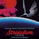FRANCO MICALIZZI-STRIDULUM (THE VISITOR) (CD)