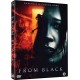FILME-FROM BLACK (DVD)