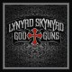 LYNYRD SKYNYRD-GOD & GUNS -HQ- (LP)
