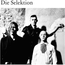 DIE SELEKTION-DIE SELEKTION (LP)