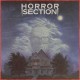 HORROR SECTION-UNTIL THE END OF TIME (7")