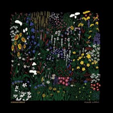 COMMENT DEBORD-MONDE AUTOUR (LP)