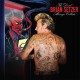 BRIAN SETZER-DEVIL ALWAYS COLLECTS (CD)