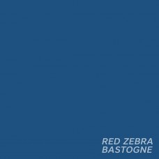 RED ZEBRA-BASTOGNE -COLOURED/LTD- (LP)