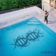 CHILLINIT-420DNA (CD)