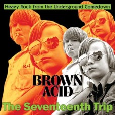 V/A-BROWN ACID: THE 17TH TRIP -COLOURED- (LP)