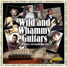 V/A-WILD & WHAMMY GUITARS - THE BLUES FRETBOARD MASTERS (CD)