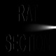 RAT SECTION-WHAT STAYS IN VEGAS (CD)